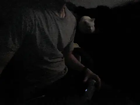 Snapshot of MarioKnero chatting on 02/26/26, 09:52 MarioKnero online show from 02/26/26, 09:52