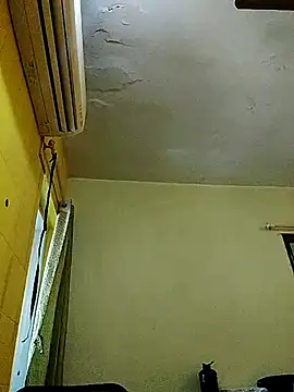 crazyfreaking online show from 02/17/25, 07:26