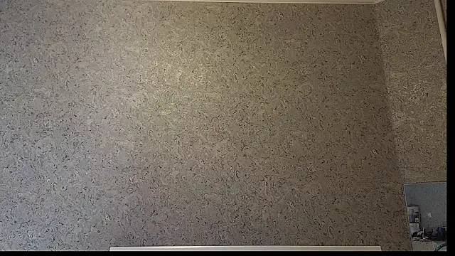 DemiDee online show from 12/15/25, 08:24