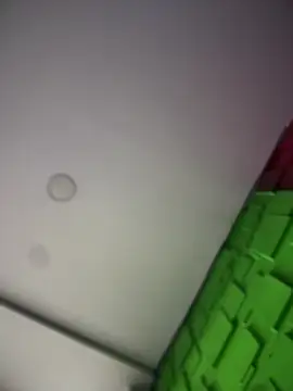 Dulce  Boyd online show from 01/19/26, 01:59