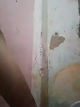 shuelldin online show from 02/13/25, 11:50