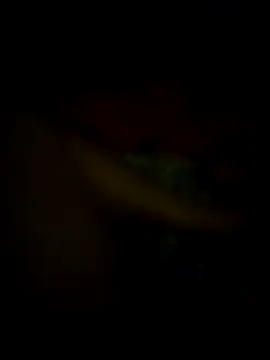 Snapshot of jonzzvergs chatting on 02/09/25, 12:30 jonzzvergs online show from 02/09/25, 12:30