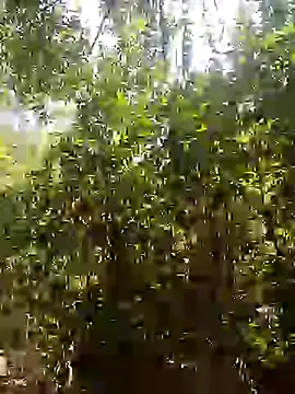 Pussy-Hairy-Horny online show from 02/16/25, 06:54