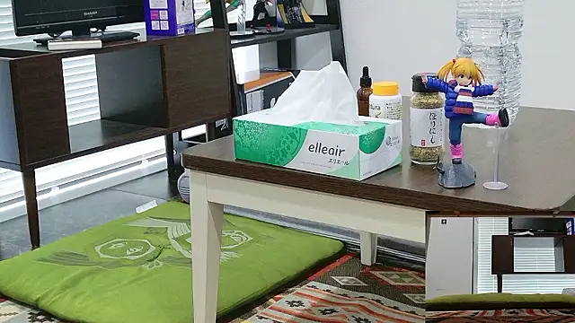 YARASERO-kun online show from 02/17/26, 03:25