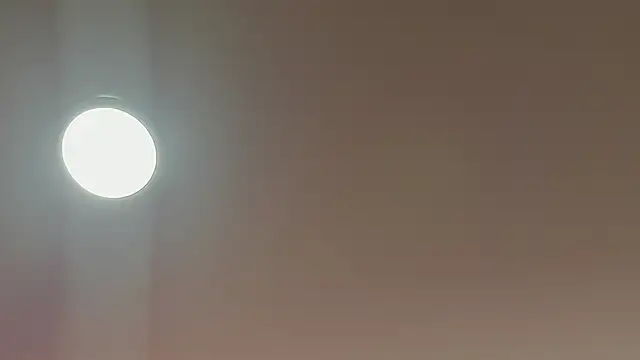 alice lodge online show from 03/22/25, 03:09