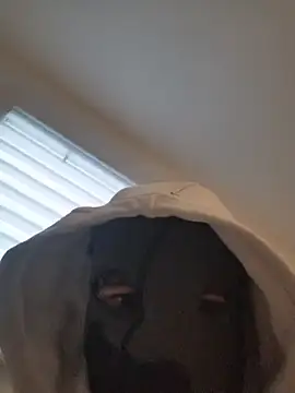 Bigdick420anal online show from 02/04/26, 06:41