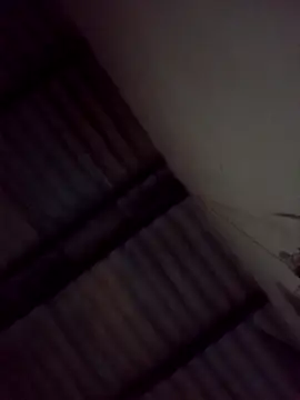 Bichorro online show from 02/03/26, 07:02