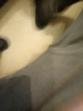 flo000031 online show from 01/14/26, 03:28