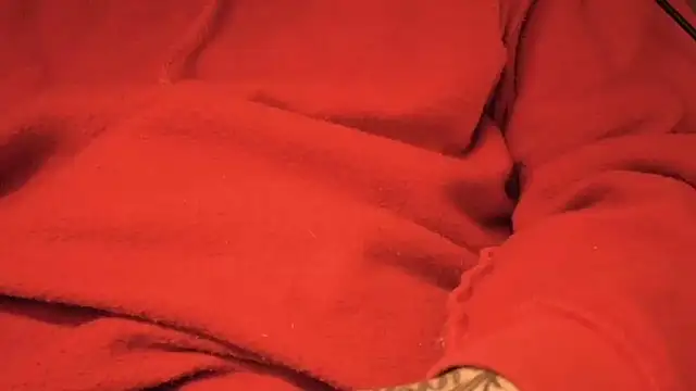 strongdude212 online show from 04/17/26, 09:56