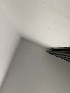 morfeoX online show from 04/18/26, 09:35