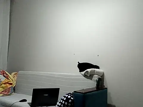 Snapshot of BellBort chatting on 03/03/26, 07:42 BellBort online show from 03/03/26, 07:42