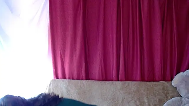 Snapshot of morahaze chatting on 11/09/25, 05:11 morahaze online show from 11/09/25, 05:11