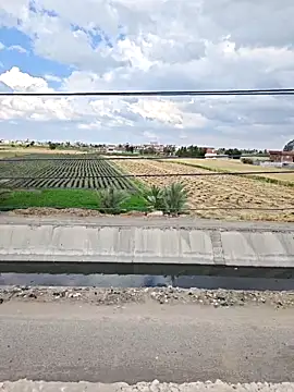 Loly2025 online show from 04/07/26, 01:22