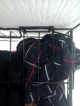 emily envivo010 online show from 03/10/25, 08:01