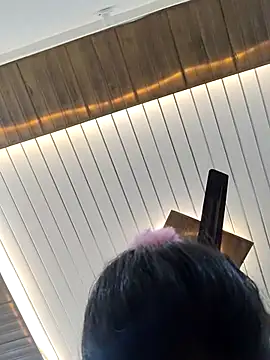 Snapshot of HorNy_Bro_Sis chatting on 03/17/25, 05:16 HorNy Bro Sis online show from 03/17/25, 05:16