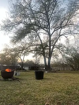 HTXBELLE online show from 01/05/26, 11:19