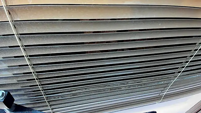 Snapshot of SaraClub_JY chatting on 10/21/25, 10:43 SaraClub JY online show from 10/21/25, 10:43