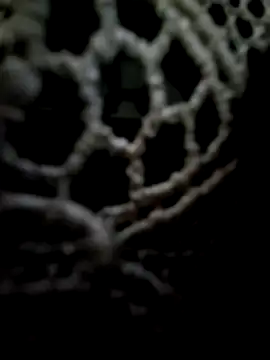 mauroxx08 online show from 05/11/26, 02:34