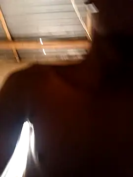 lilpip online show from 02/15/26, 09:08