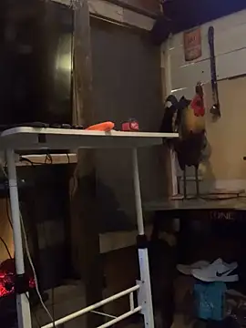 Polaroid White online show from 03/06/25, 06:41