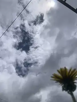 MaxxxSteil online show from 11/12/25, 03:56