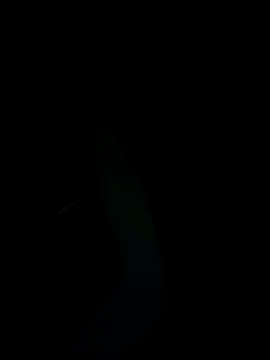 Snapshot of SunnY-0124@xh chatting on 02/25/25, 05:47 SunnY-0124xh online show from 02/25/25, 05:47