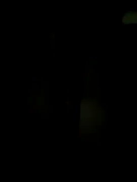 wildfun  online show from 03/18/25, 05:42