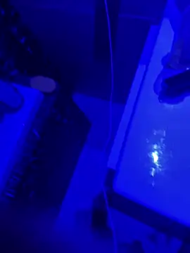 gryzoon online show from 03/20/26, 05:12