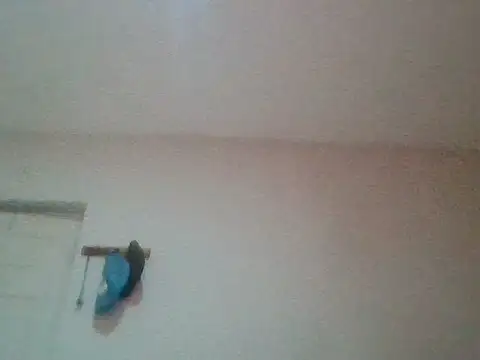 Snapshot of bafeng chatting on 07/24/26, 09:40 bafeng online show from 07/24/26, 09:40