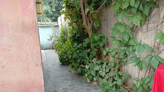 twinks 28 online show from 01/17/26, 08:45