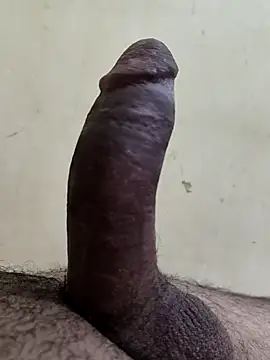 alkhabiir online show from 11/25/25, 06:08