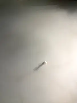 1Zoey101 online show from 12/18/25, 06:19