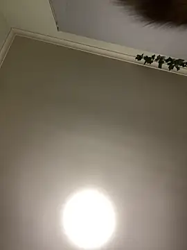 1Zoey101 online show from 04/17/26, 01:36