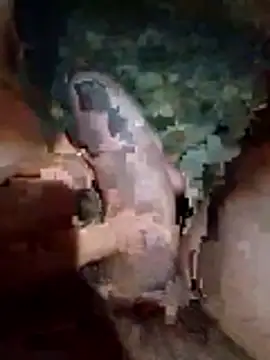 Luis katya online show from 02/10/26, 01:32