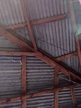 Ladyzee25 online show from 11/26/25, 09:05