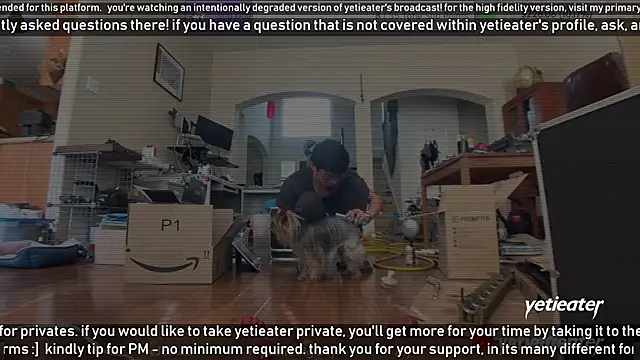 yetieater online show from 02/13/25, 05:22