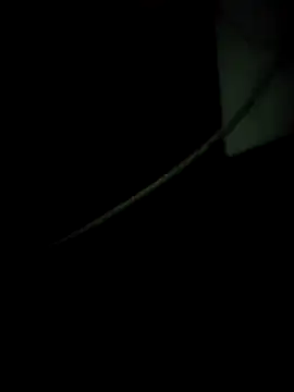 enoc369 online show from 12/04/25, 08:12