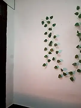 Neha-Bhabhi-Rasily online show from 02/20/26, 11:11