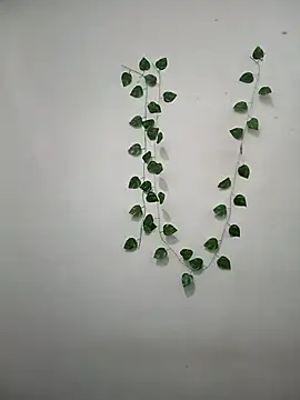 Neha-Bhabhi-Rasily online show from 03/08/26, 11:14