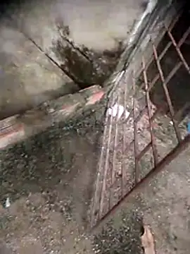 viviksmel online show from 04/19/26, 06:10