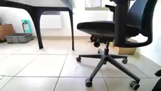 GM51-1988 online show from 04/20/26, 04:10