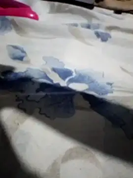 Snapshot of Sandra42 chatting on 11/14/25, 09:52 Sandra42 online show from 11/14/25, 09:52