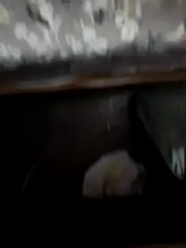 horniestboi online show from 04/20/26, 05:48