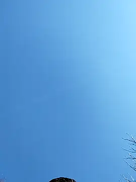 Anthopassif84 online show from 03/17/25, 03:18