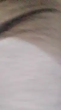 patrona sexooo online show from 03/09/25, 08:42