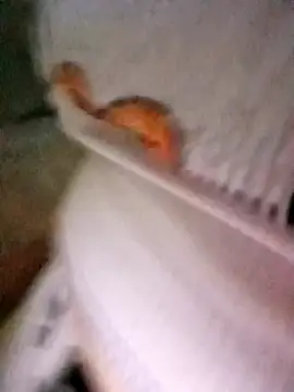 patrona sexooo online show from 10/11/25, 12:58