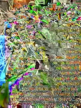 Snapshot of himvilohi08 chatting on 09/27/25, 12:32 himvilohi08 online show from 09/27/25, 12:32