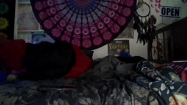 GardeniaFields online show from 02/09/26, 08:40