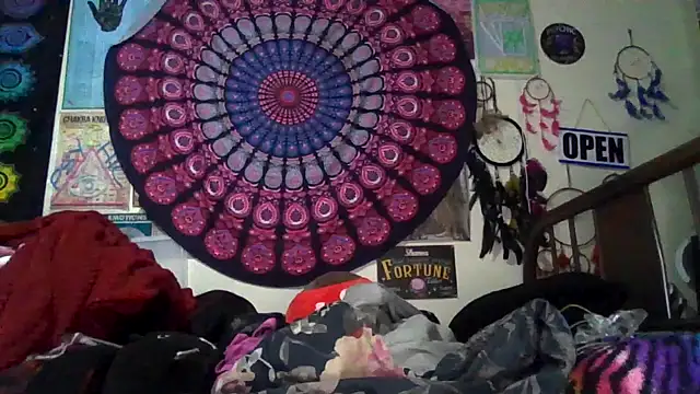 GardeniaFields online show from 02/24/26, 08:56