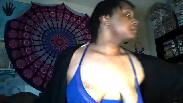 GardeniaFields online show from 04/02/26, 11:30